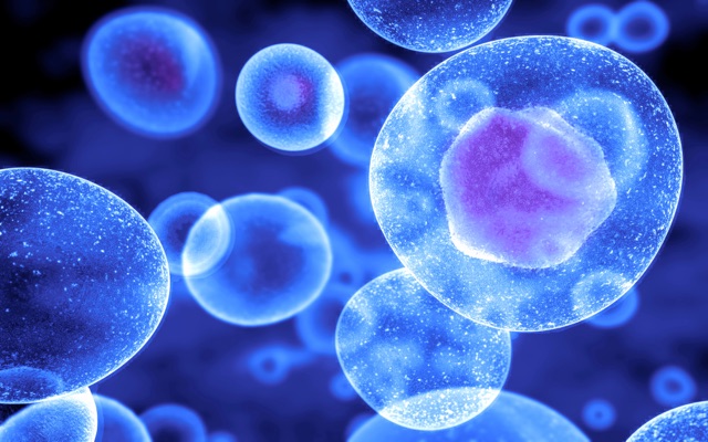 Cellular energy and vitality planning